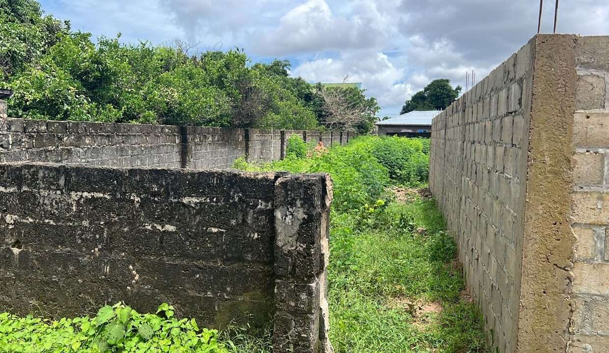 Driveway In Gate