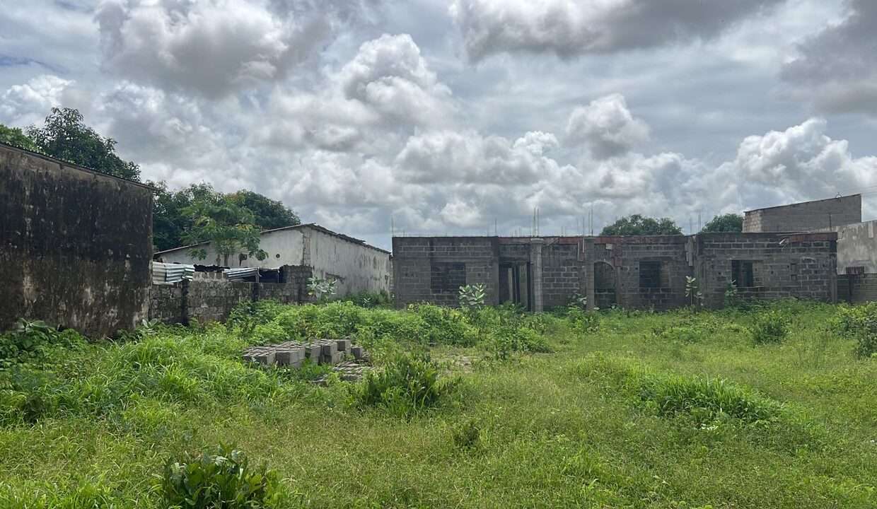 Inside View of the Plot