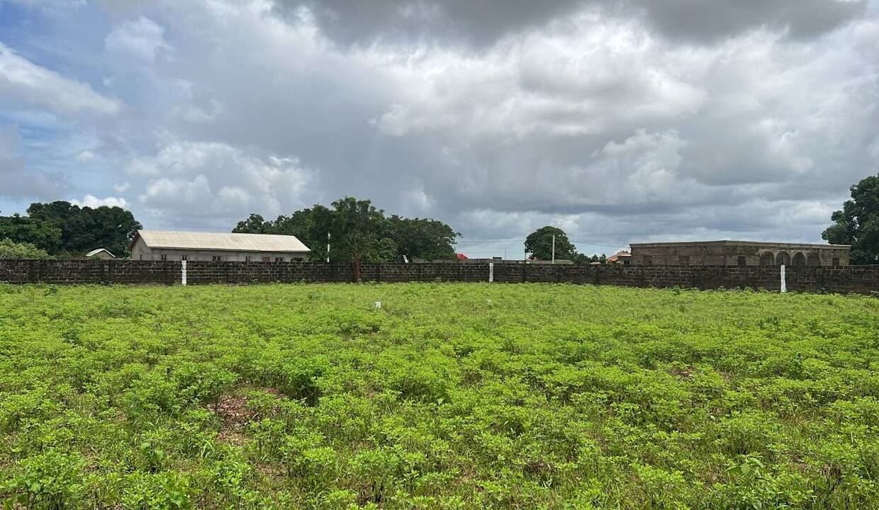 Inside View of the Plots