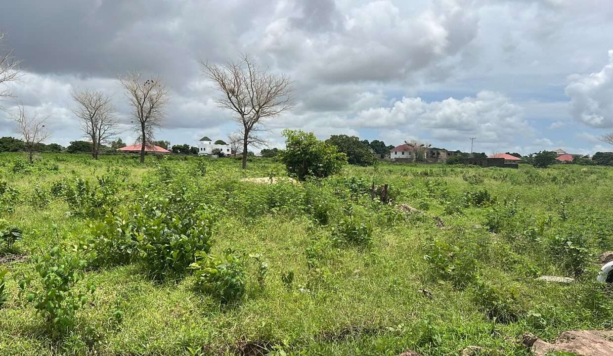 Land View with Neighborhood