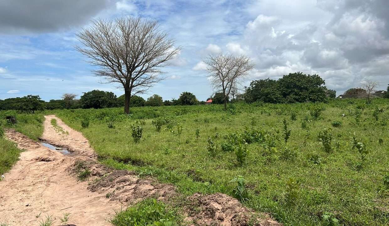 Land View with Neighborhood 3