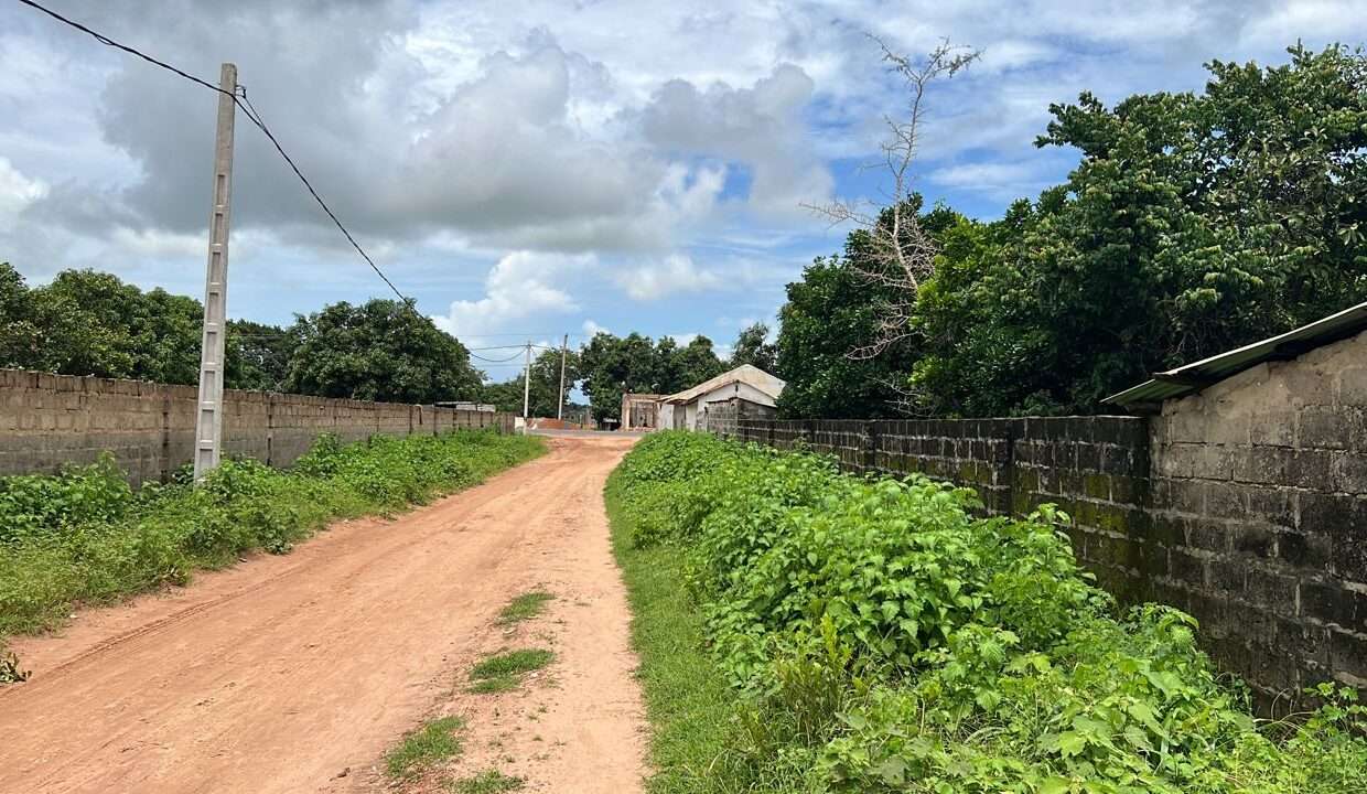 Short Walk to the Latriya Highway