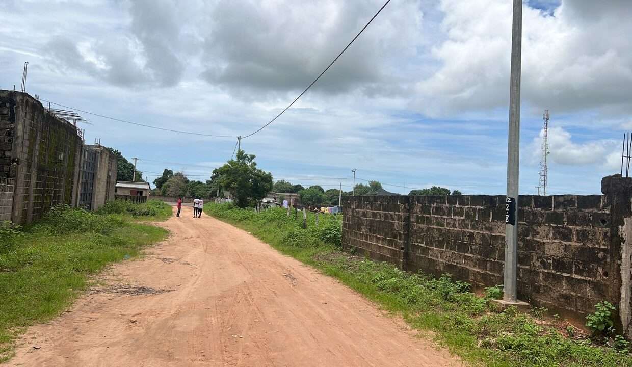 Short Walk to the Latriya Highway